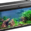 EHEIM Aquastar 54 LED Schwarz - Aquarienset -Heimtierbedarf 0340645 EHEIM aquastar 54 LED schwarz 01