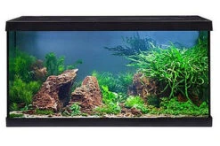 EHEIM Aquastar 54 LED Schwarz - Aquarienset -Heimtierbedarf 0340645 EHEIM aquastar 54 LED schwarz 05
