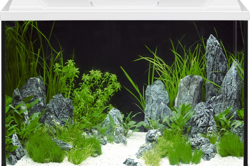 EHEIM AquaproLED 84 Weiß - Aquarienset 4 EHEIM AquaproLED 84 Weiß - Aquarienset – Bild 2