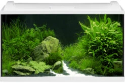 EHEIM AquaproLED 126 Weiß - Aquarienset