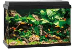 Juwel Primo 70 Schwarz Aquarium-Set -Heimtierbedarf 13j25370 Juwel Primo 70 schwarz 3