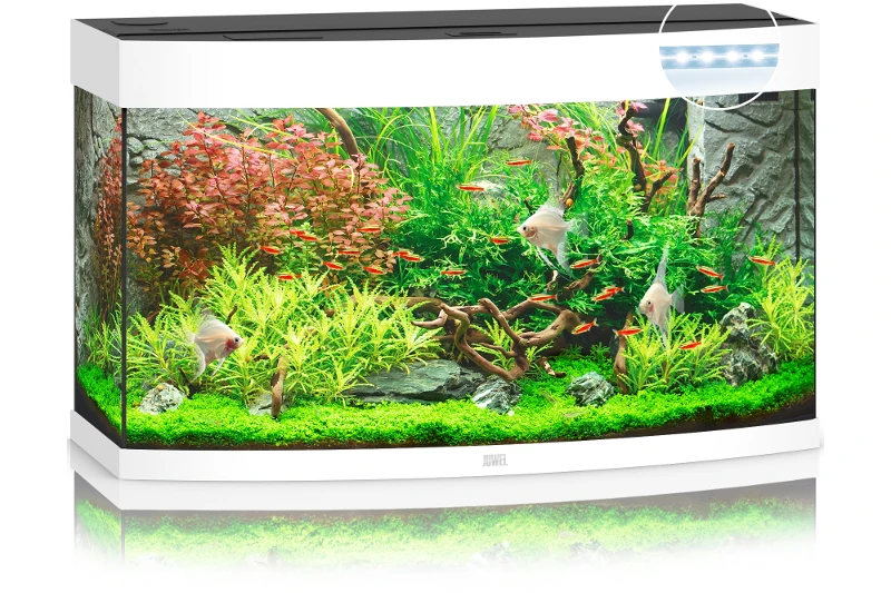 Juwel Vision 180 LED Weiß Aquarium-Set 4 Juwel Vision 180 LED Weiß Aquarium-Set – Bild 2