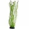 Hobby Lagarosiphon, 60 Cm -Heimtierbedarf 16610 Hobby Lagarosiphon 34 cm