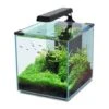 Aquatlantis Aquarienset Nano Cubic 30 LED, Schwarz -Heimtierbedarf 16a08882 Aquatlantis Nano Cubic 30 schwarz