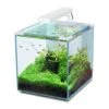 Aquatlantis Aquarienset Nano Cubic 30 LED, Weiß -Heimtierbedarf 16a08883 Aquatlantis Nano Cubic 30 weiss