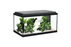 Aquatlantis Aquarienset Advance 60 LED, Schwarz