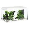 Aquatlantis Aquarienset Advance 60 LED, Weiß -Heimtierbedarf 16a09140 Aquatlantis Advance 60 LED Aquarienset wei