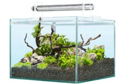 Sera Scaper Cube 48 Liter - Starterset 6 Sera Scaper Cube 48 Liter - Starterset -Heimtierbedarf 32366 Sera Scaper Cube 48 Liter 2