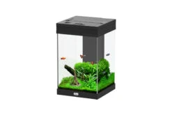 Aquatlantis Aqua Tower 43 Schwarz Aquarium