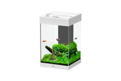 Aquatlantis Aqua Tower 43 Weiß Aquarium