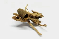 AquaHobby Fingerwood Ca. 20 Cm Mit SeraFino Höhle