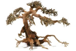 Aquadeco Aqua-Bonsai S, 15-20 Cm -Heimtierbedarf Aquadeco Aqua Bonsai 3