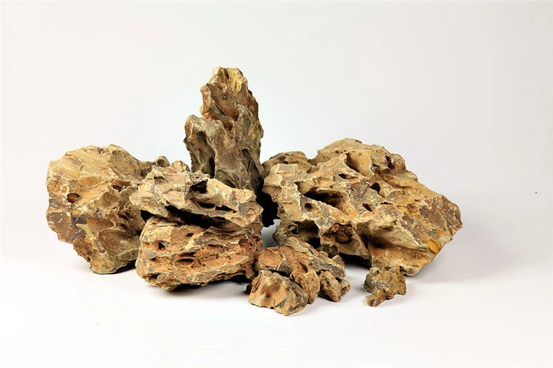 Aquadeco Drachenstein Dekoset Für 60 Cm Aquarium 3 Aquadeco Drachenstein Dekoset Für 60 Cm Aquarium