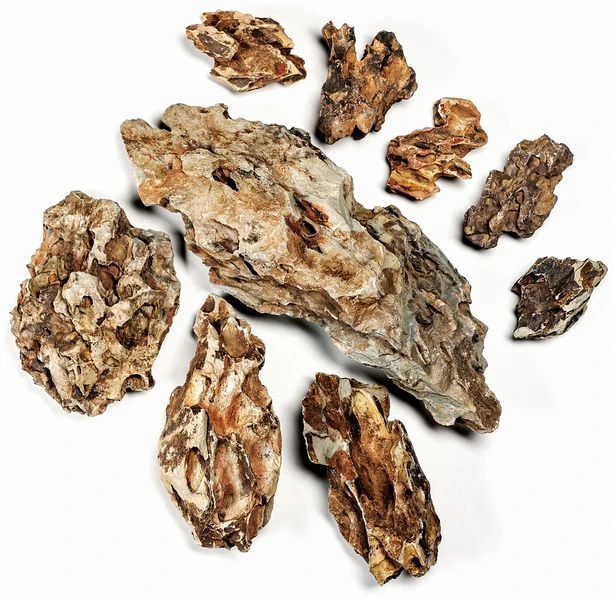 Aquadeco Drachenstein Dekoset Für 60 Cm Aquarium 6 Aquadeco Drachenstein Dekoset Für 60 Cm Aquarium – Bild 4