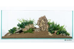 Aquadeco Drachenstein Dekoset Für 100 Cm Aquarium -Heimtierbedarf Aquadeco Drachenstein Dekoset 3 1