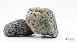 Aquadeco Galapagos-Stein 2,3-2,7 Kg (P10)