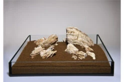 Aquadeco Helle Pagode Dekoset Für 120 Cm Aquarium -Heimtierbedarf Aquadeco Helle Pagode 1 3