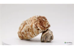 Aquadeco Helle Pagode Dekoset Für 120 Cm Aquarium -Heimtierbedarf Aquadeco Helle Pagode 3 4