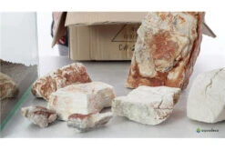 Aquadeco Helle Pagode Dekoset Für 80 Cm Aquarium