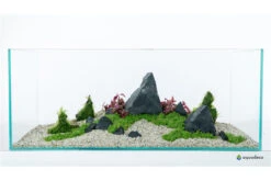 Aquadeco Schwarzer Felsen Dekoset Für 120 Cm Aquarium 8 Aquadeco Schwarzer Felsen Dekoset Für 120 Cm Aquarium -Heimtierbedarf Aquadeco Schwarzer Felsen Dekoset 2 3