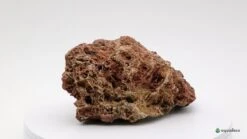 Aquadeco Versteinertes Laub Dekoset Für 100 Cm Aquarium -Heimtierbedarf Aquadeco Versteinertes Laub 2 2