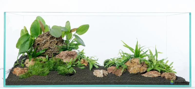 Aquadeco Versteinertes Laub Dekoset Für 120 Cm Aquarium 7 Aquadeco Versteinertes Laub Dekoset Für 120 Cm Aquarium – Bild 5