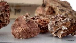 Aquadeco Versteinertes Laub Dekoset Für 120 Cm Aquarium