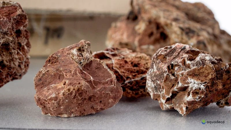 Aquadeco Versteinertes Laub Dekoset Für 120 Cm Aquarium 3 Aquadeco Versteinertes Laub Dekoset Für 120 Cm Aquarium