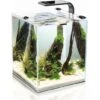 Aquael Shrimp Set Smart 2, 20 Liter, LED Schwarz -Heimtierbedarf Aquael Shrimp Set Smart 2
