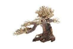 Dupla Bonsai S, Handgemachte Aquariendeko -Heimtierbedarf Dupla Bonsai S 1