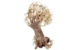 Dupla Crooked Root L, Handgemachte Aquariendeko -Heimtierbedarf Dupla Crooked Root L 3