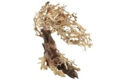Dupla Crooked Root M, Handgemachte Aquariendeko -Heimtierbedarf Dupla Crooked Root M 3
