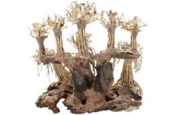 Dupla Landscape, Handgemachte Aquariendeko 5 Dupla Landscape, Handgemachte Aquariendeko -Heimtierbedarf Dupla Landscape 2