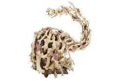 Dupla Wizard Root M, Handgemachte Aquariendeko -Heimtierbedarf Dupla Wizard Root M 3