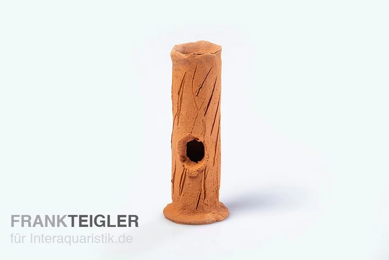 Aquariumkeramik Garnelenstamm Mini Terrakotta 3 Aquariumkeramik Garnelenstamm Mini Terrakotta