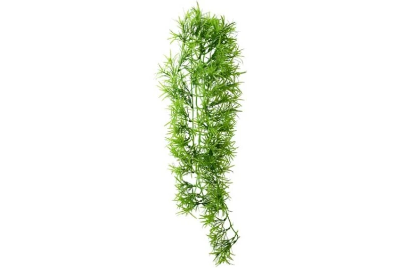 Hobby Climber Tropica, 70 Cm 3 Hobby Climber Tropica, 70 Cm