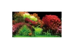 Hobby Rückwandfolie Ocean/Ruby Lake, 100 Cm X 50 Cm, Selbstklebend -Heimtierbedarf Hobby Ocean Ruby Lake 1 1