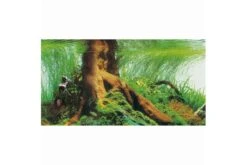 Hobby Fotorückwandzuschnitt Pearl River/Deep Delta, 100 Cm X 50 Cm 7 Hobby Fotorückwandzuschnitt Pearl River/Deep Delta, 100 Cm X 50 Cm -Heimtierbedarf Hobby Pearl River Deep Delta Fotorueckwand 3