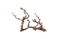 Hobby Weinrebenwurzel, Ca. 30 Cm -Heimtierbedarf Hobby Weinrebenwurzel 2