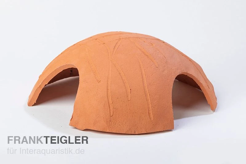 Aquariumkeramik Axolotl Iglu Ø 18 Cm Terra 3 Aquariumkeramik Axolotl Iglu Ø 18 Cm Terra