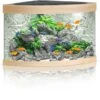 Juwel Aquarium Trigon 190 LED, Helles Holz 2 Juwel Aquarium Trigon 190 LED, Helles Holz -Heimtierbedarf Juwel Aquarium Trigon 190 LED helles Holz