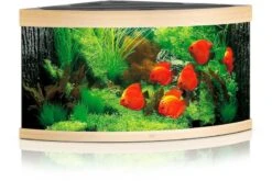 Juwel Aquarium Trigon 350 LED, Helles Holz
