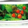 Juwel Aquarium Trigon 350 LED, Weiß -Heimtierbedarf Juwel Aquarium Trigon 350 LED weiss