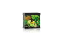 Juwel Lido Aquarium 120 LED, Schwarz