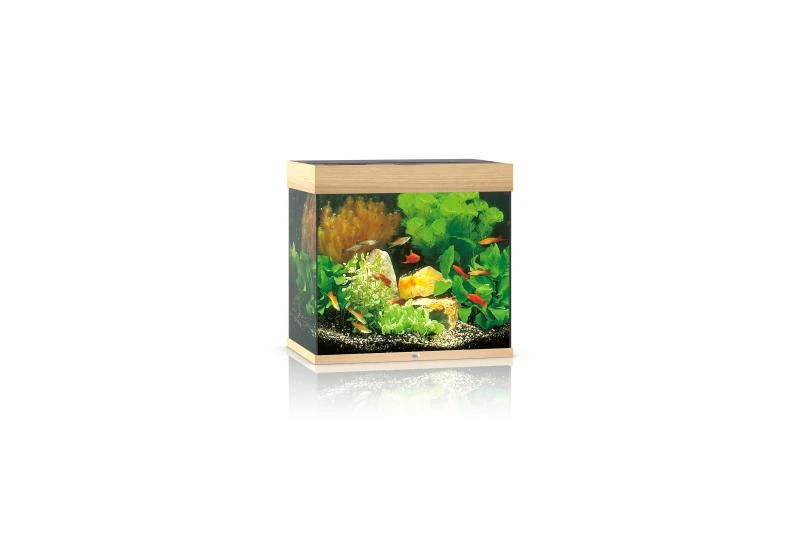 Juwel Lido Aquarium 120 LED, Helles Holz 3 Juwel Lido Aquarium 120 LED, Helles Holz