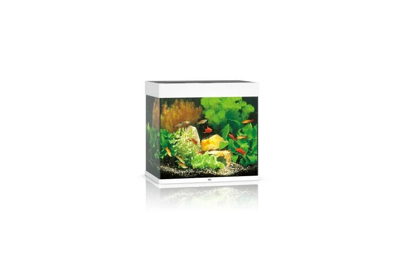 Juwel Lido Aquarium 120 LED, Weiß 3 Juwel Lido Aquarium 120 LED, Weiß
