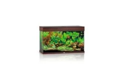 Juwel Rio Aquarium 125 LED, Dunkles Holz