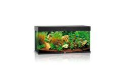 Juwel Rio Aquarium 180 LED, Schwarz