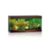 Juwel Rio Aquarium 180 LED, Dunkles Holz 1 Juwel Rio Aquarium 180 LED, Dunkles Holz -Heimtierbedarf Juwel Rio 180 Aquarium dark wood 04700 l