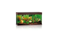 Juwel Rio Aquarium 180 LED, Dunkles Holz